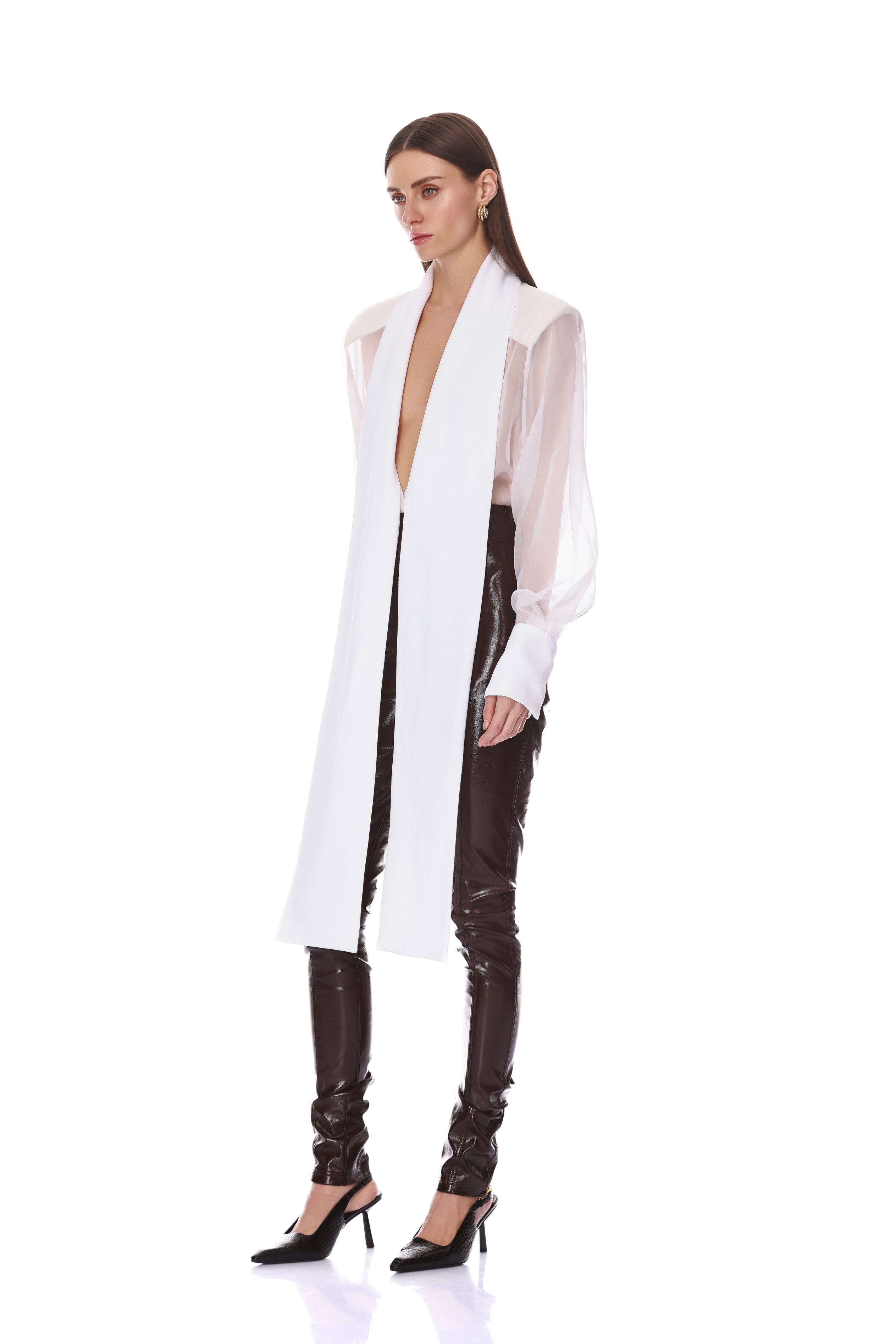 Long Sleeve Sheer Blouse with Tie + Organza Pant