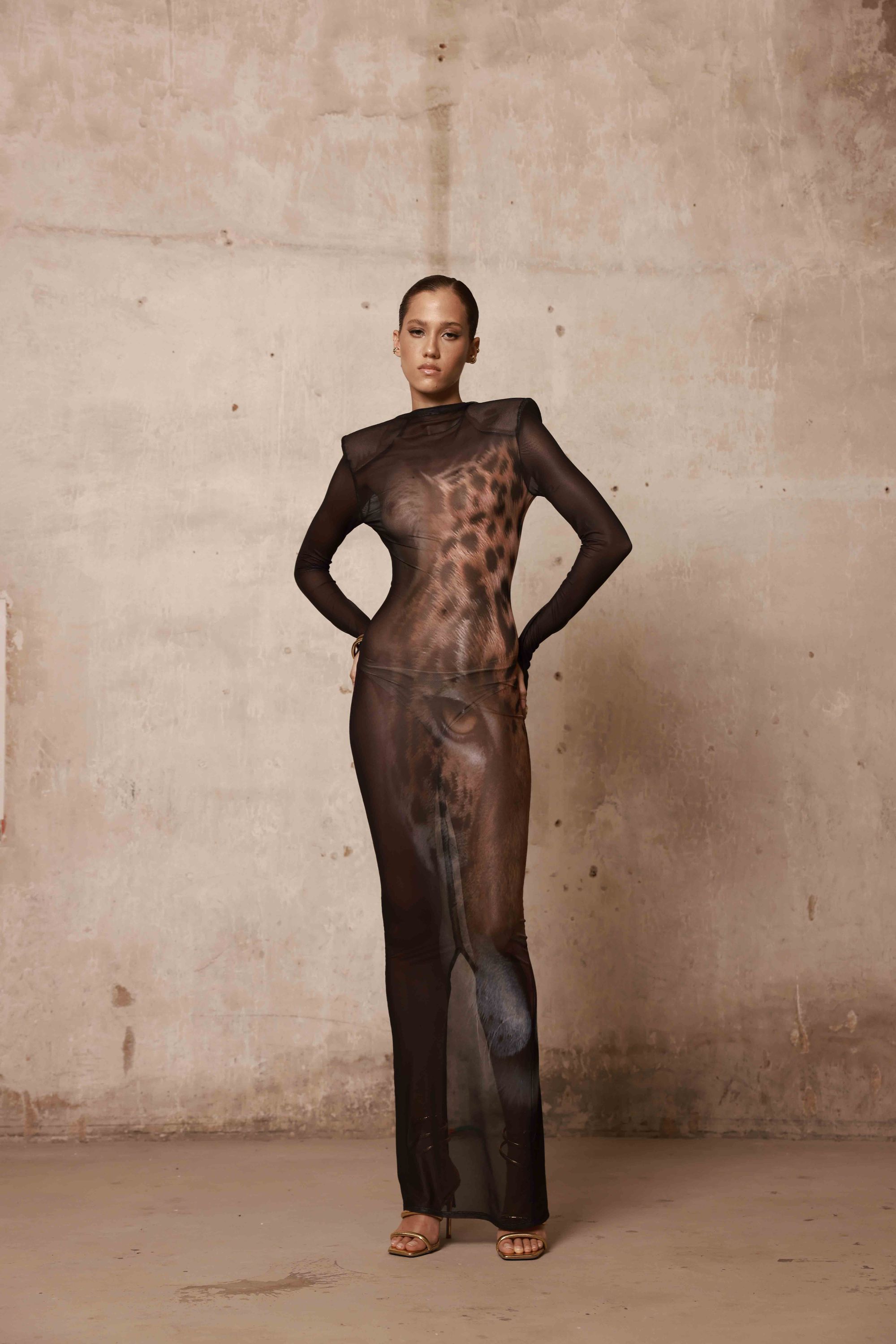 Leopard Long Sleeve Sheer Mesh Maxi Dress