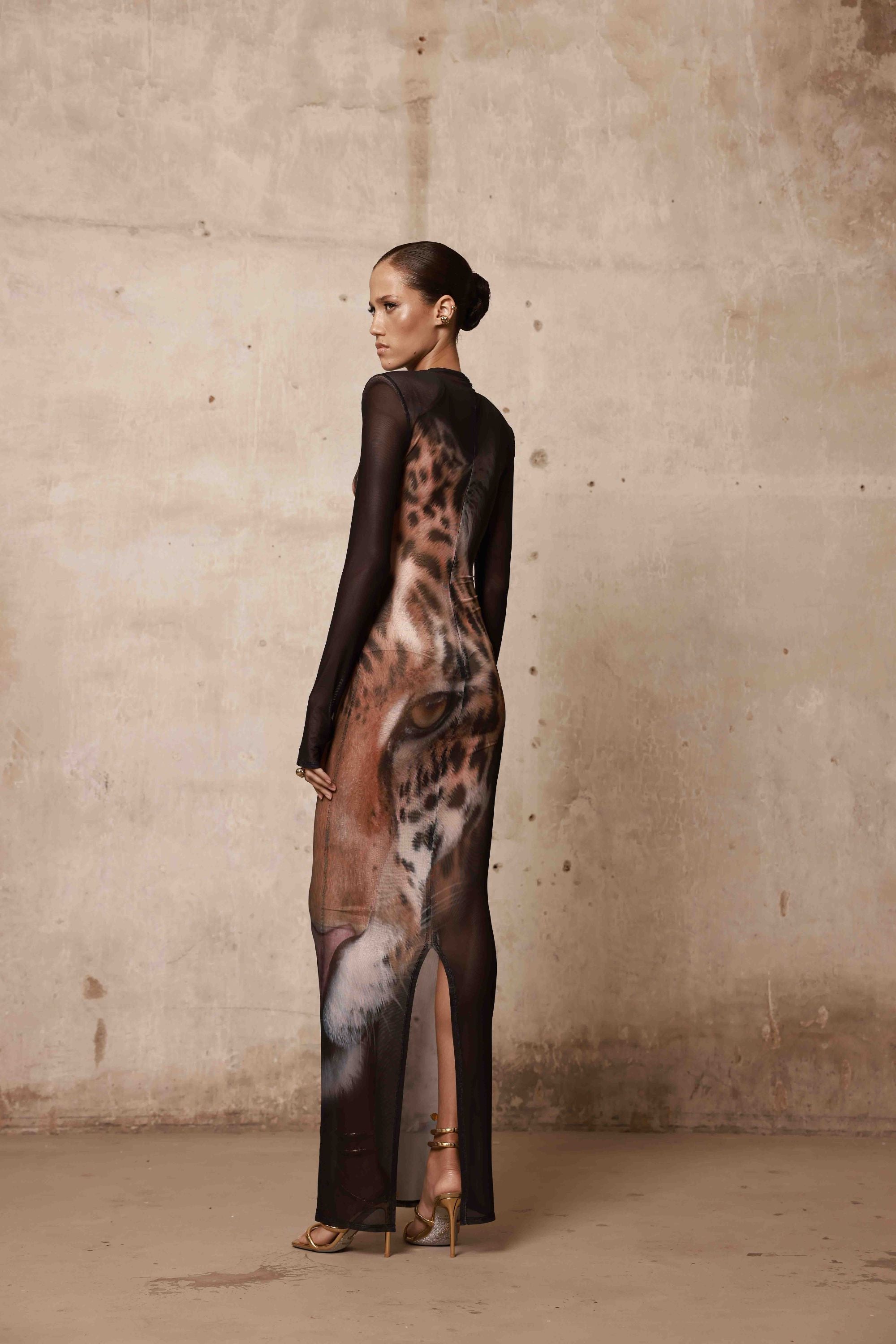 Leopard Long Sleeve Sheer Mesh Maxi Dress