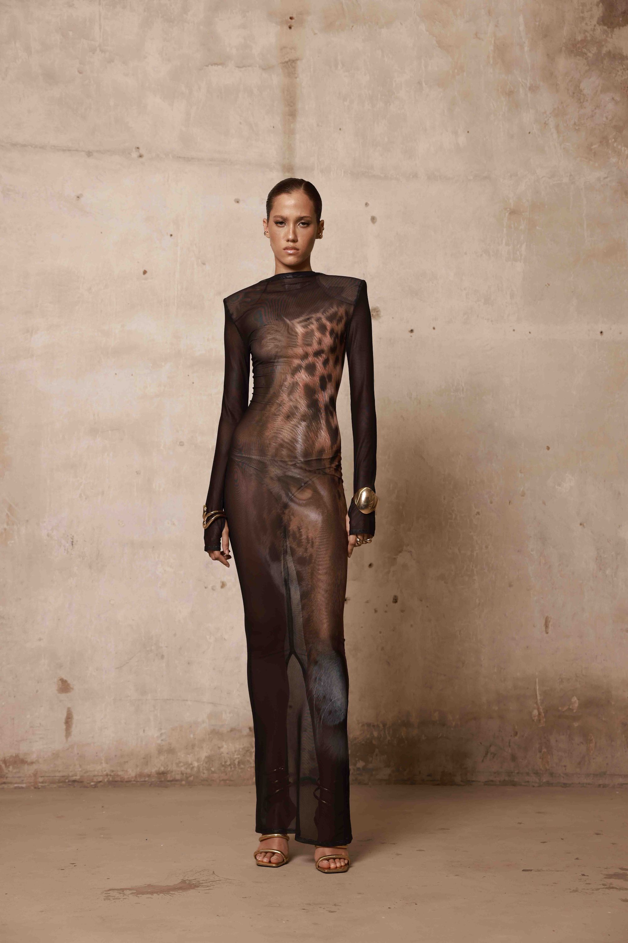 Leopard Long Sleeve Sheer Mesh Maxi Dress