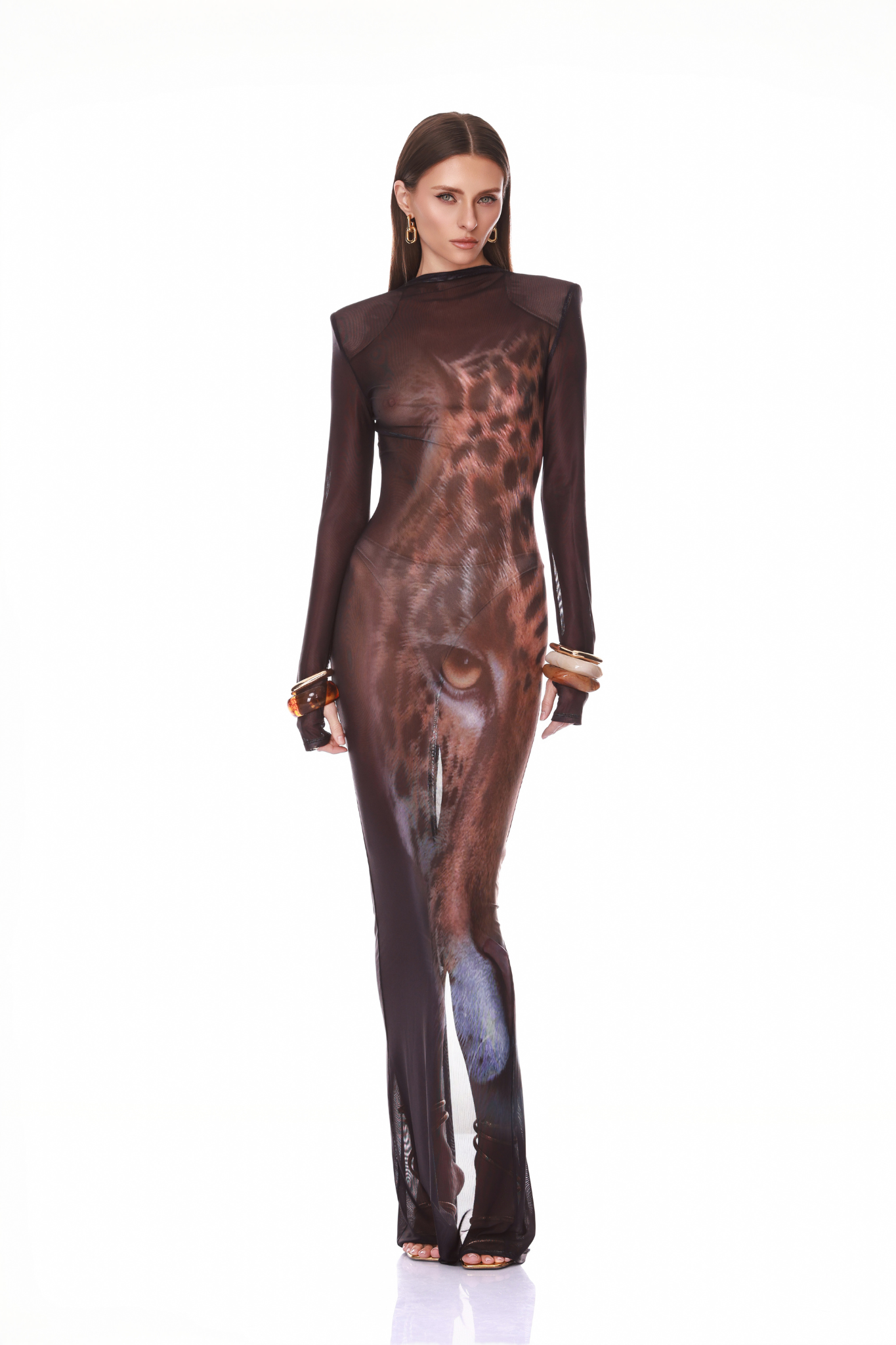 Leopard Long Sleeve Sheer Mesh Maxi Dress