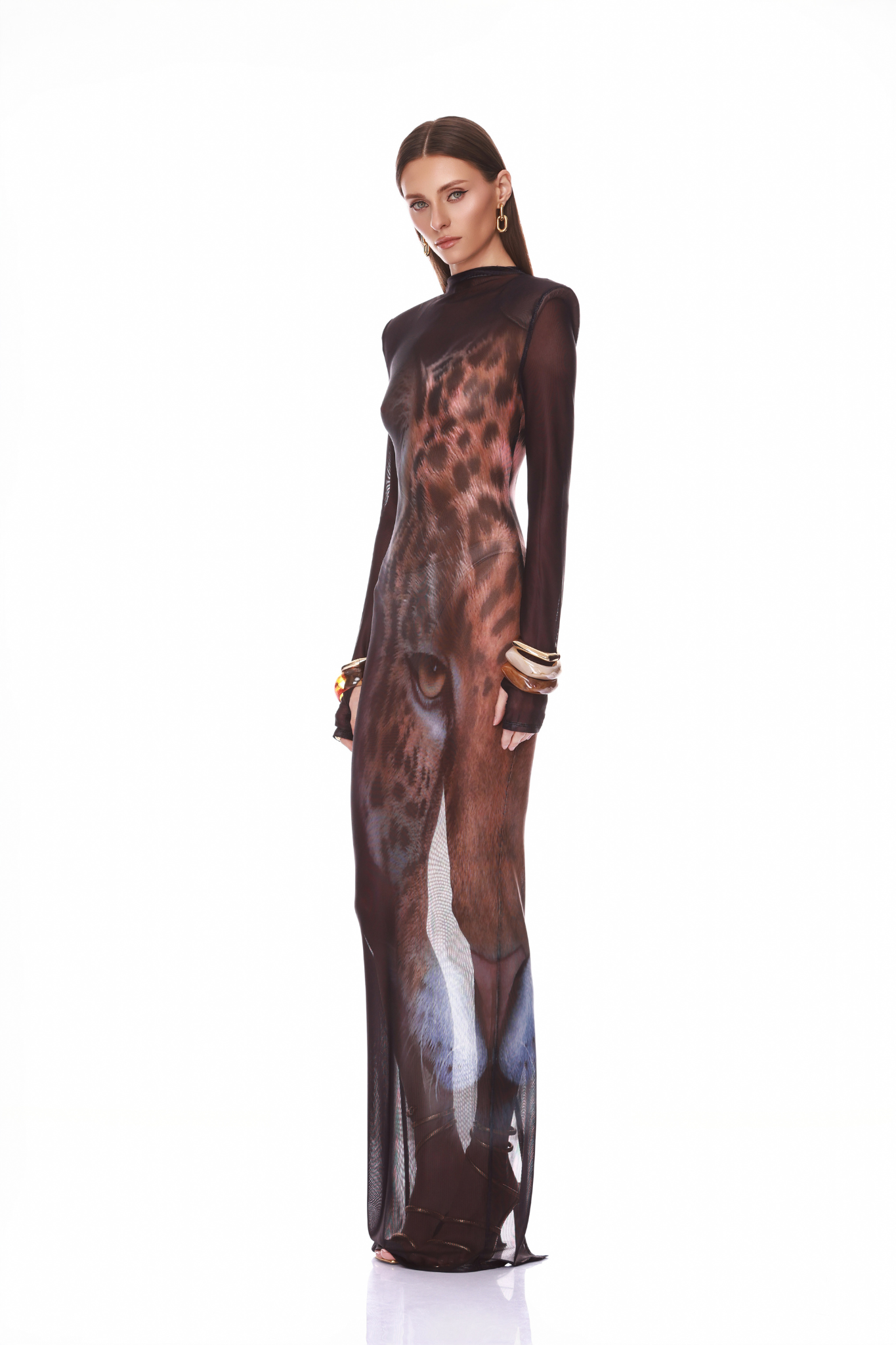 Leopard Long Sleeve Sheer Mesh Maxi Dress