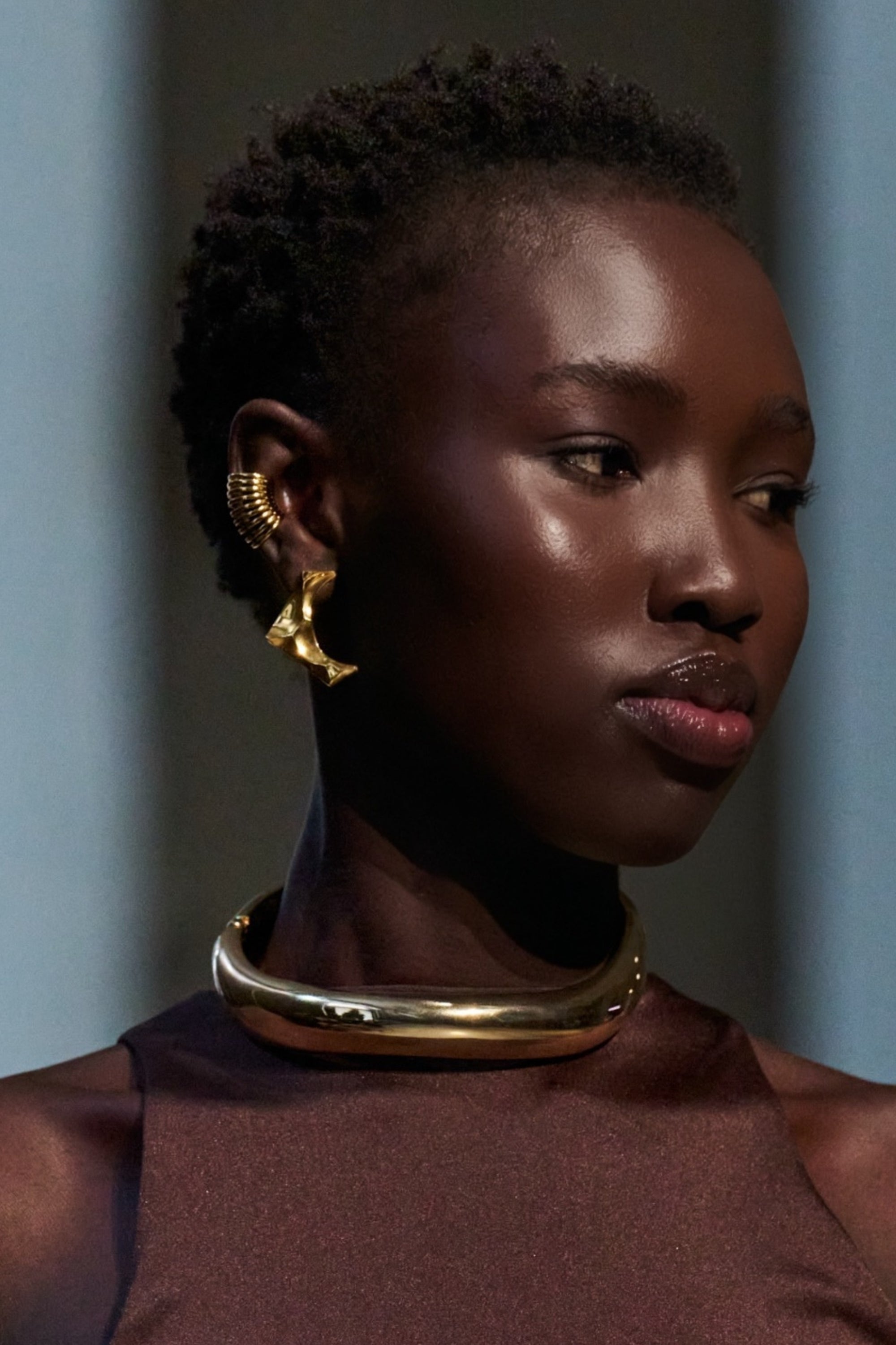 Aurelia Gold Coil Ear Cuffs