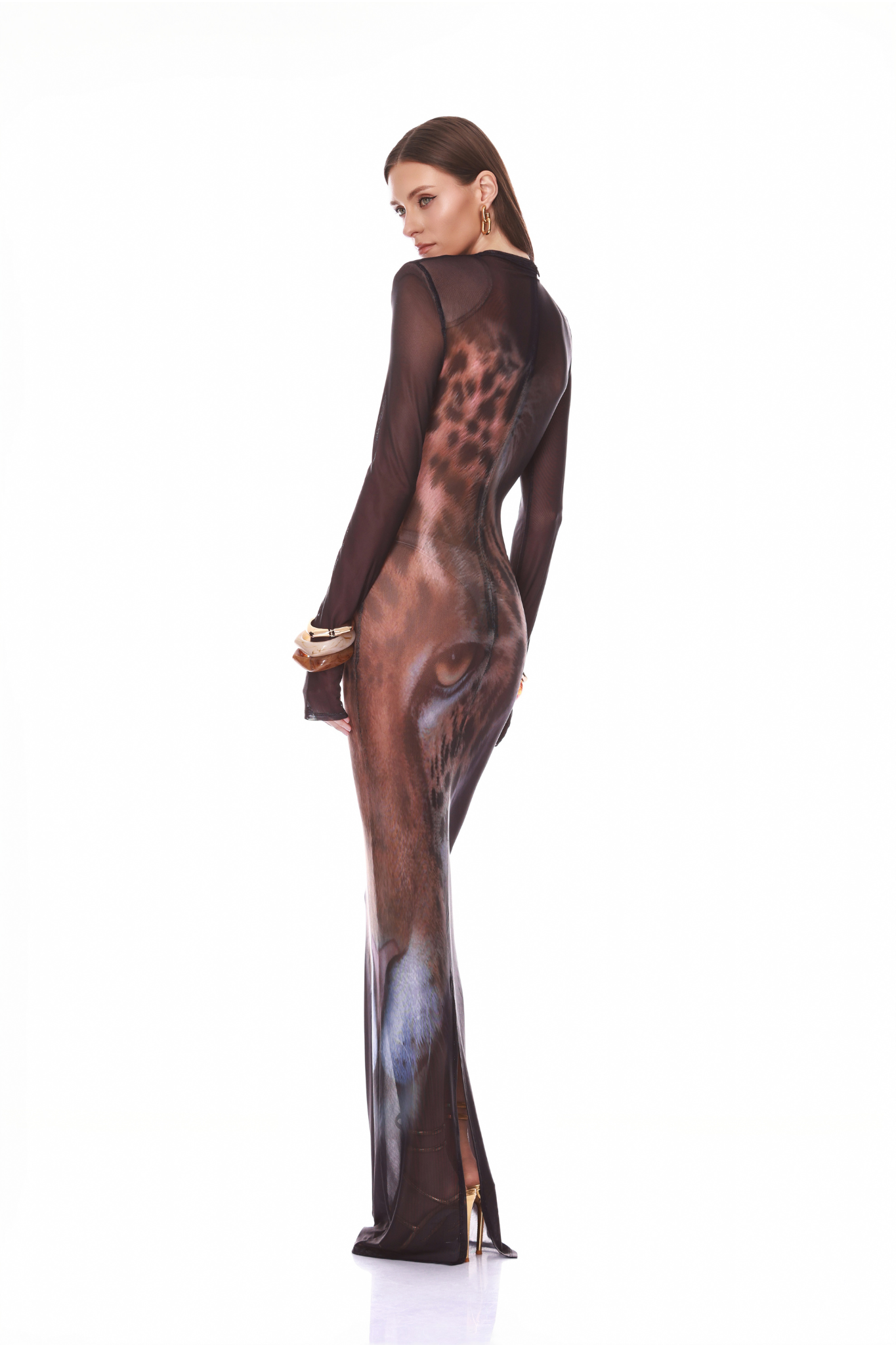 Leopard Long Sleeve Sheer Mesh Maxi Dress