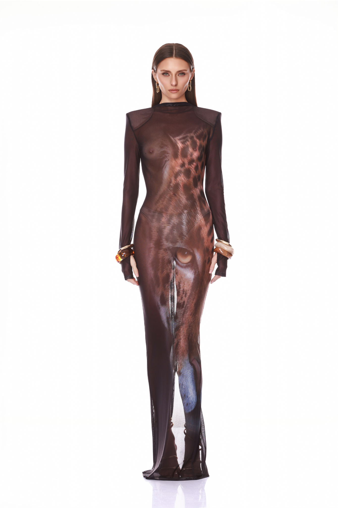 Leopard Long Sleeve Sheer Mesh Maxi Dress XS Leopard Long Sleeve Sheer Mesh Maxi Dress XS