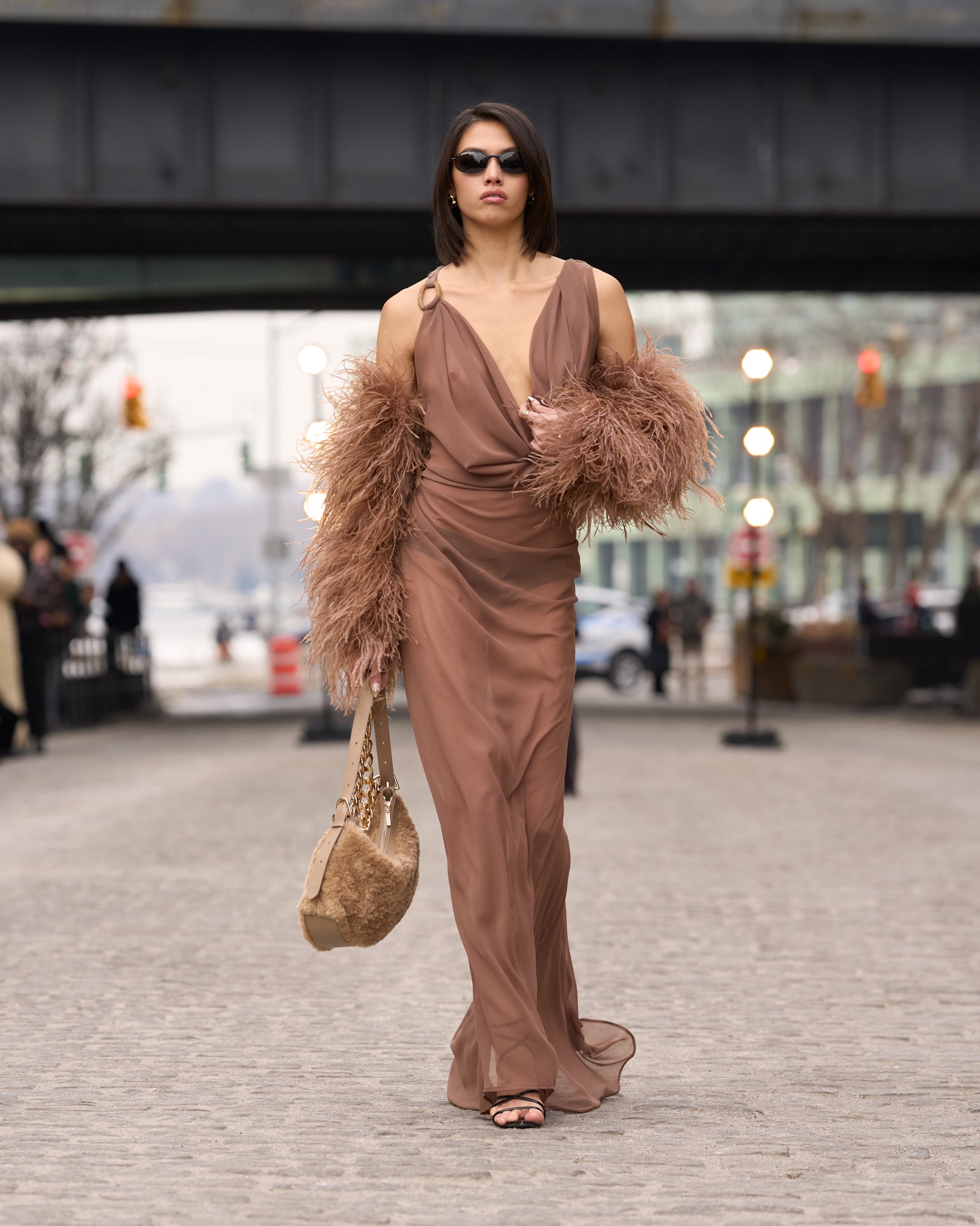 Brown Feather Sleeves